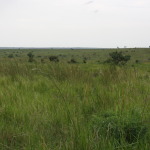 A small piece of the threatened land